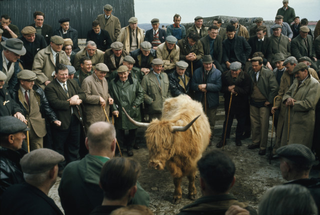 Found photos from National Geographic archive